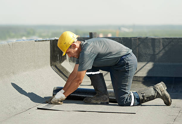 Best Spray Foam Insulation in Blackwells Mills, NJ
